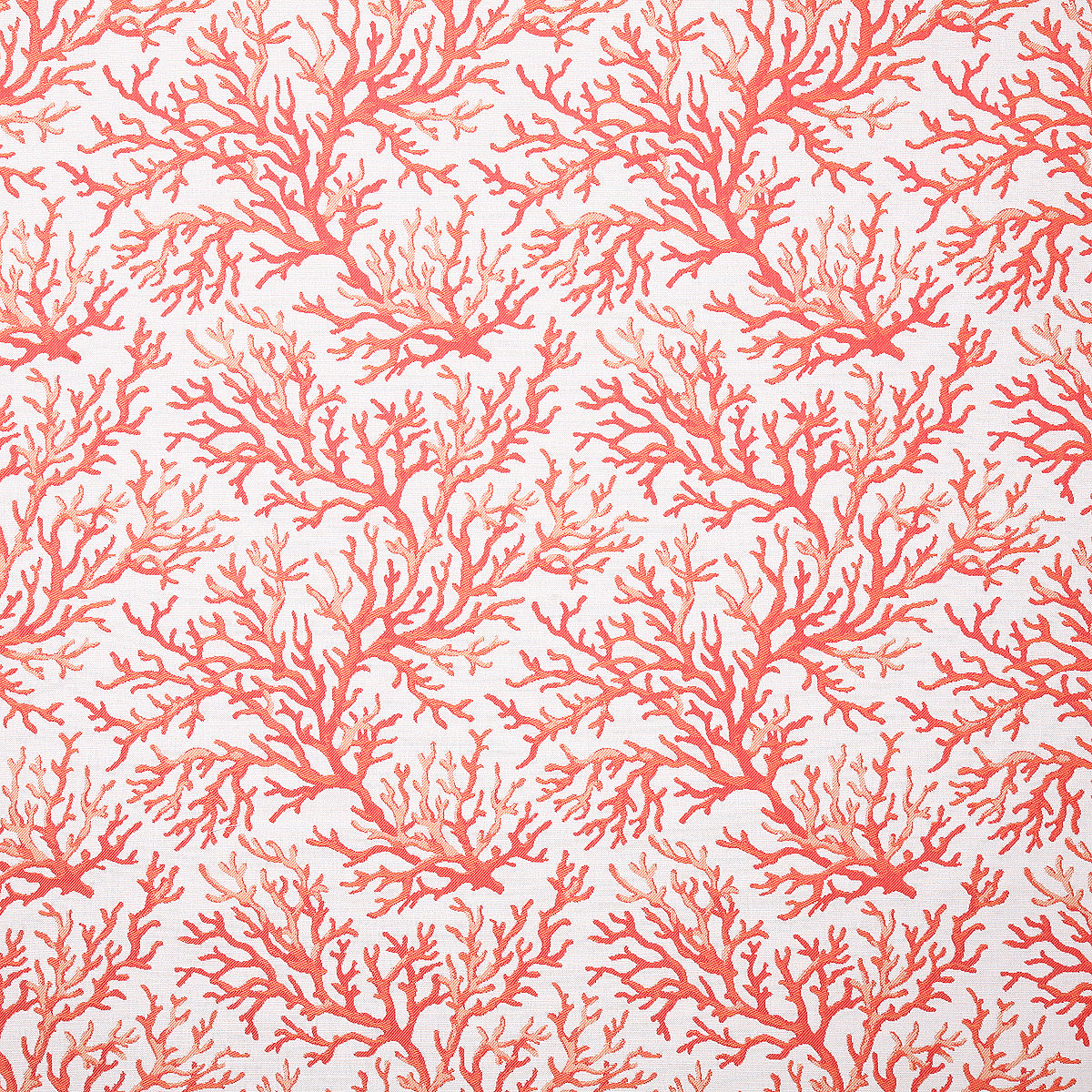 coral colored coral pattern