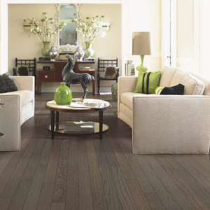 dark brown hardwood floor in living room