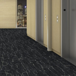 dark carpet tile hallway