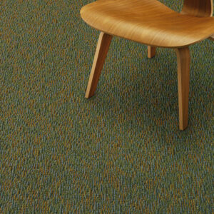 dark green commercial carpet with wood chair