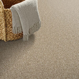 tan commercial carpet with basket
